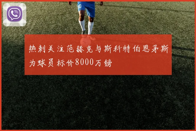 热刺关注范赫克与斯科特伯恩茅斯为球员标价8000万镑