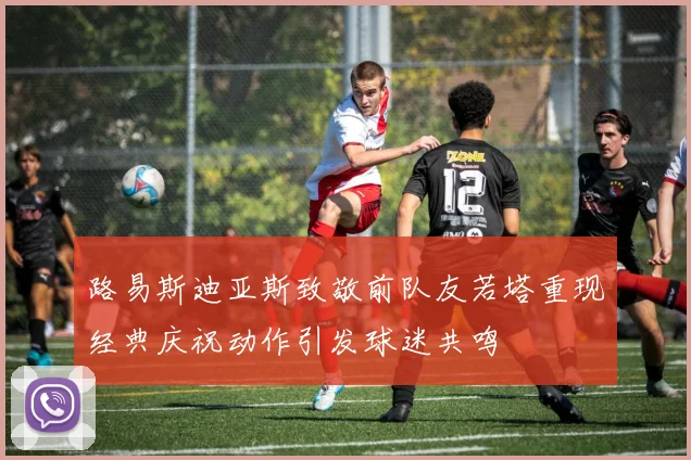 路易斯迪亚斯致敬前队友若塔重现经典庆祝动作引发球迷共鸣